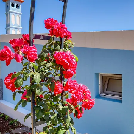 Silva's House, A In Madeira * Ponta do Sol